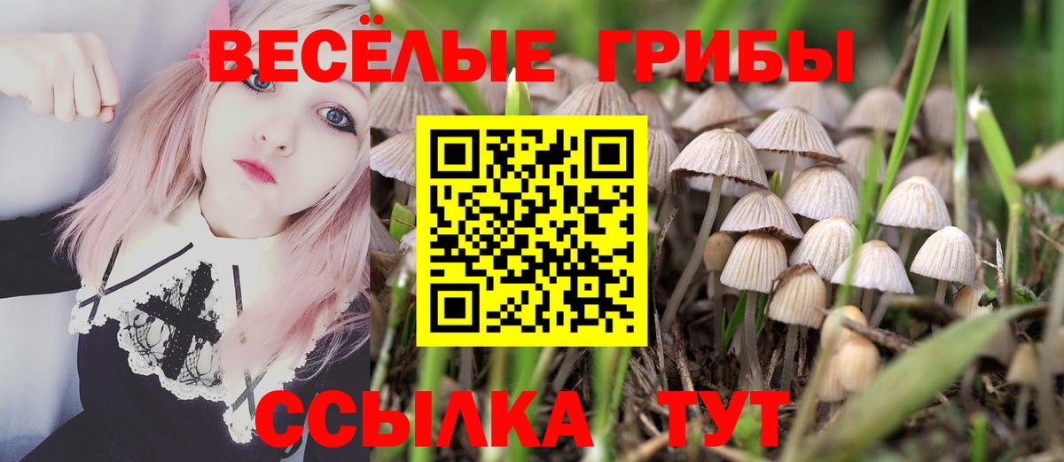Галлюциногенные грибы мухоморы Архангельск